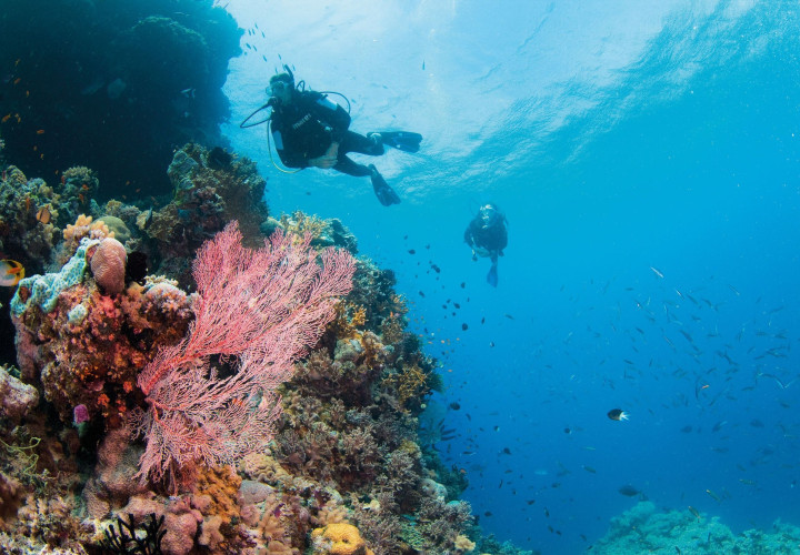 1001280 Explore 01 Diving 3 creator 4 v2