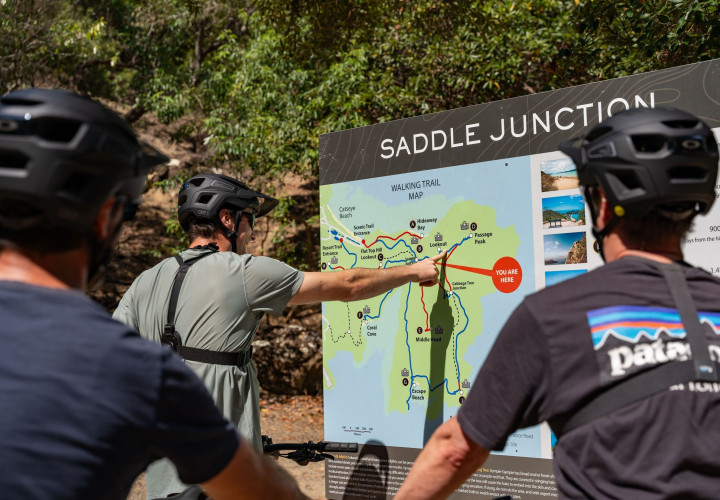 1015220 DSC03614 creator 4