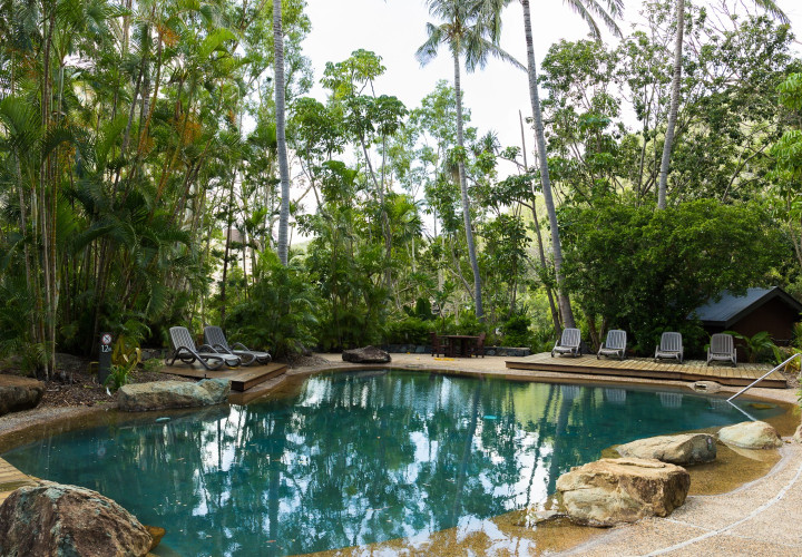 Poinciana 205 HR 0024